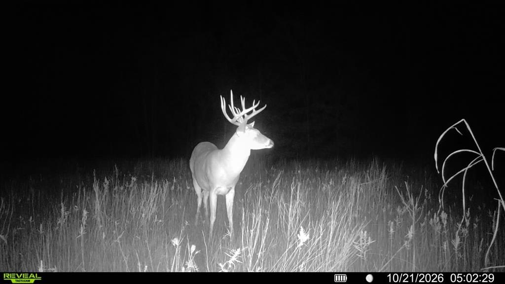 0 FM 2554 - Photo 5
