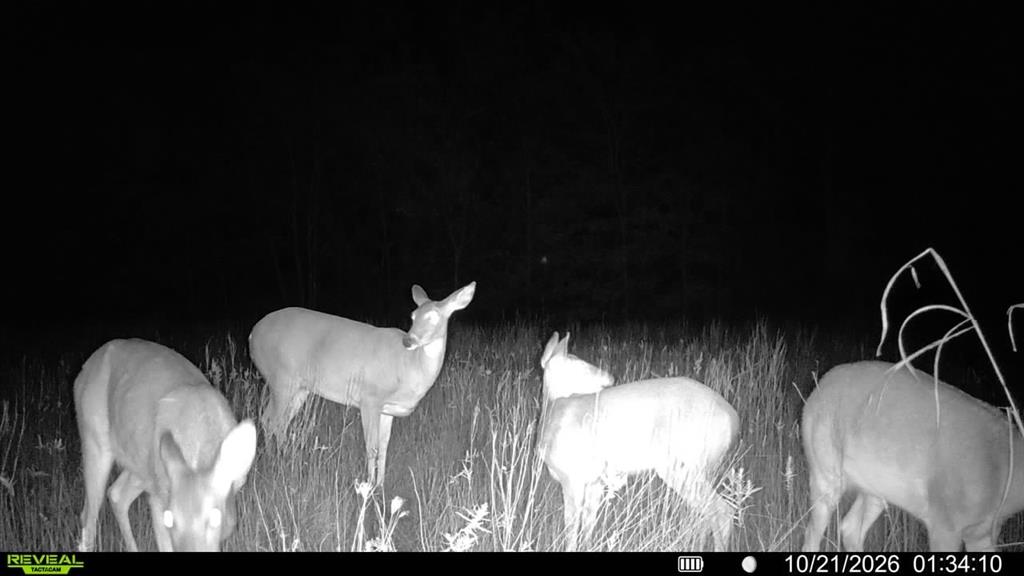 0 FM 2554 - Photo 6
