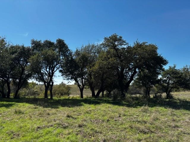 908 PR 4011 - Photo 12
