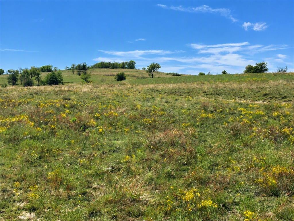 908 PR 4011 - Photo 15