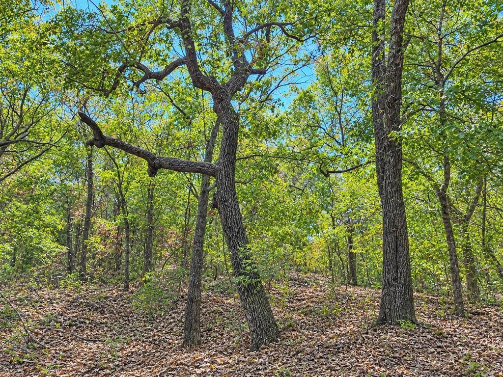 908 PR 4011 - Photo 7
