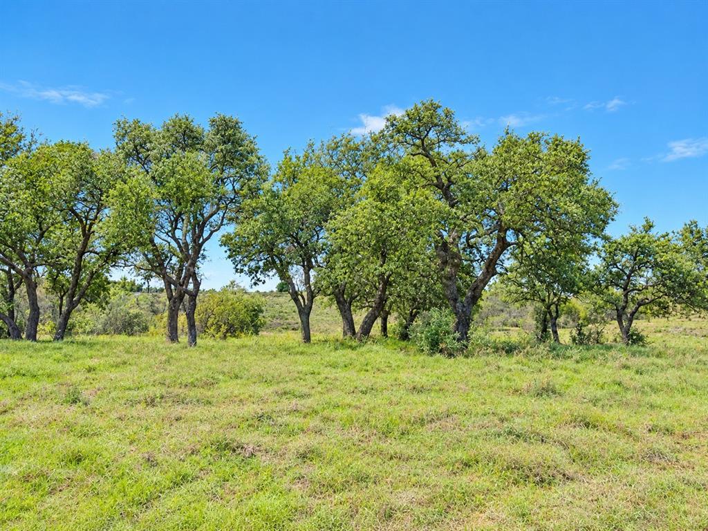 908 PR 4011 - Photo 8