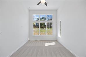 1540 Pirene Alley - Photo 11