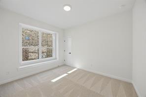 1540 Pirene Alley - Photo 28