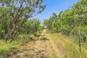 14175 S Highway 6 - Photo 10