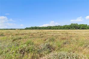 14175 S Highway 6 - Photo 14