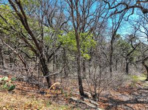 1115 Brazos Drive - Photo 8