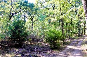801 Wood Duck Trace - Photo 3