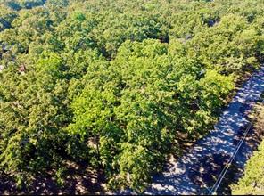 801 Wood Duck Trace - Photo 5