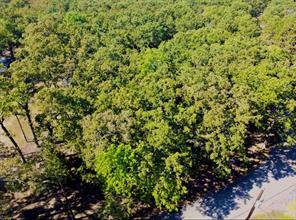 801 Wood Duck Trace - Photo 6