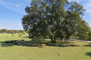 145 Private Road 3670 - Photo 8
