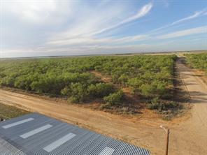 TBD (Lot 10) CR 218 - Photo 10
