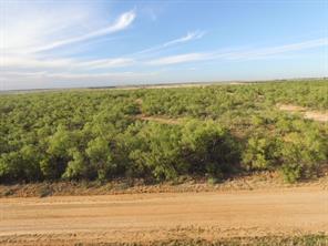TBD (Lot 10) CR 218 - Photo 12