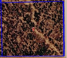 TBD (Lot 10) CR 218 - Photo 2
