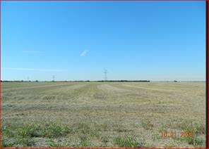 000 Moseley Road - Photo 2