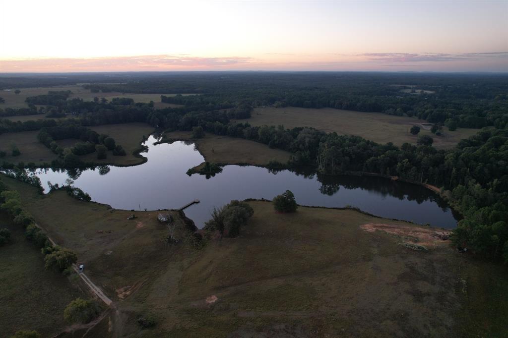 TBD County Road 483 - Photo 1