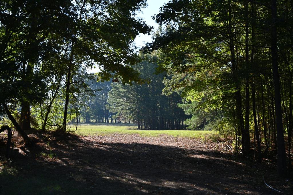 TBD County Road 483 - Photo 15