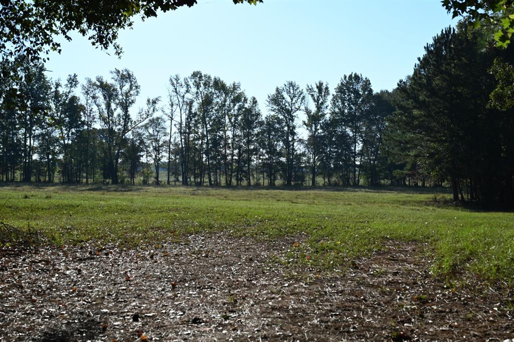 TBD County Road 483 - Photo 16