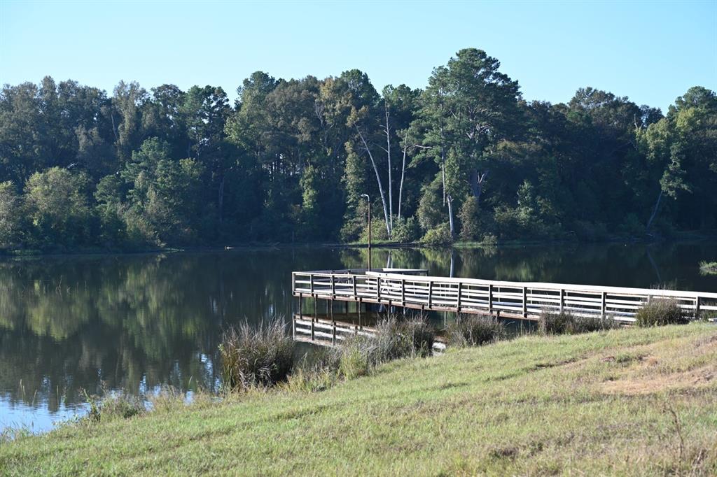 TBD County Road 483 - Photo 17