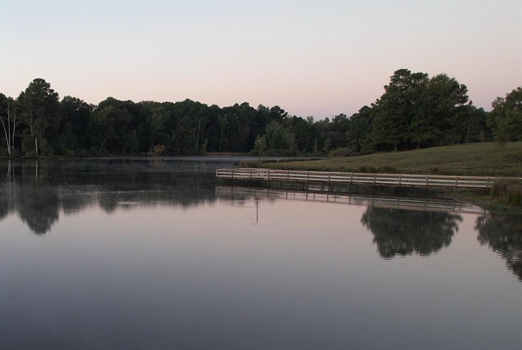 TBD County Road 483 - Photo 2