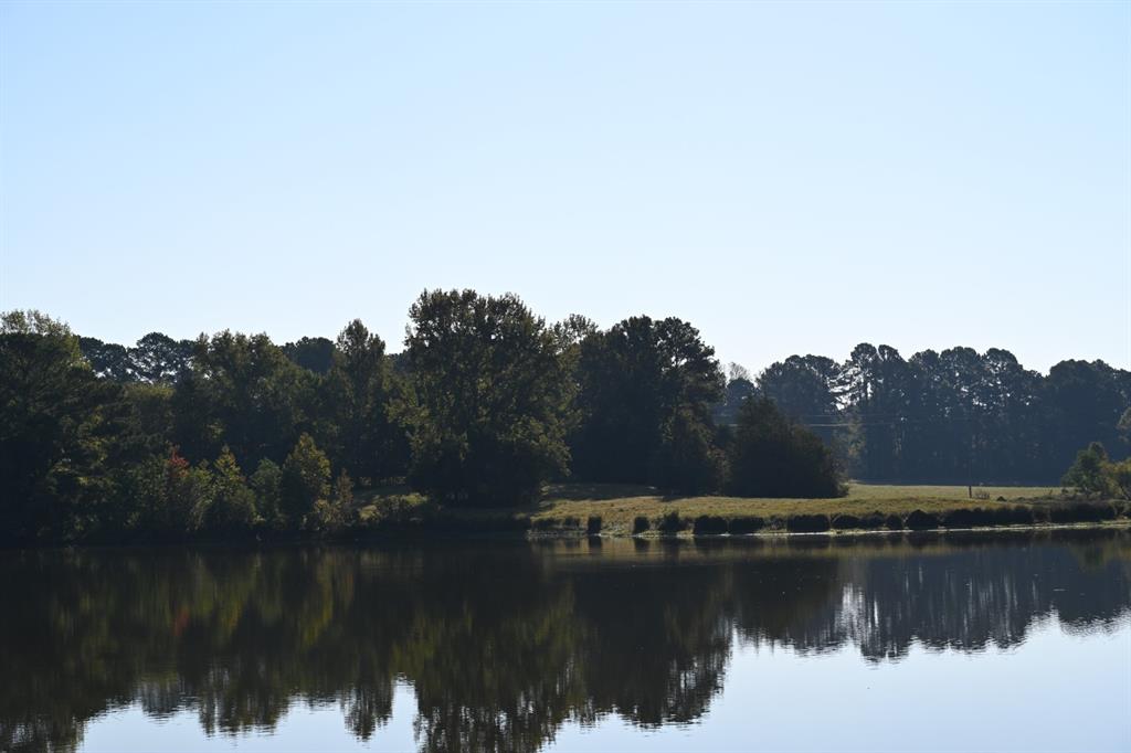 TBD County Road 483 - Photo 20