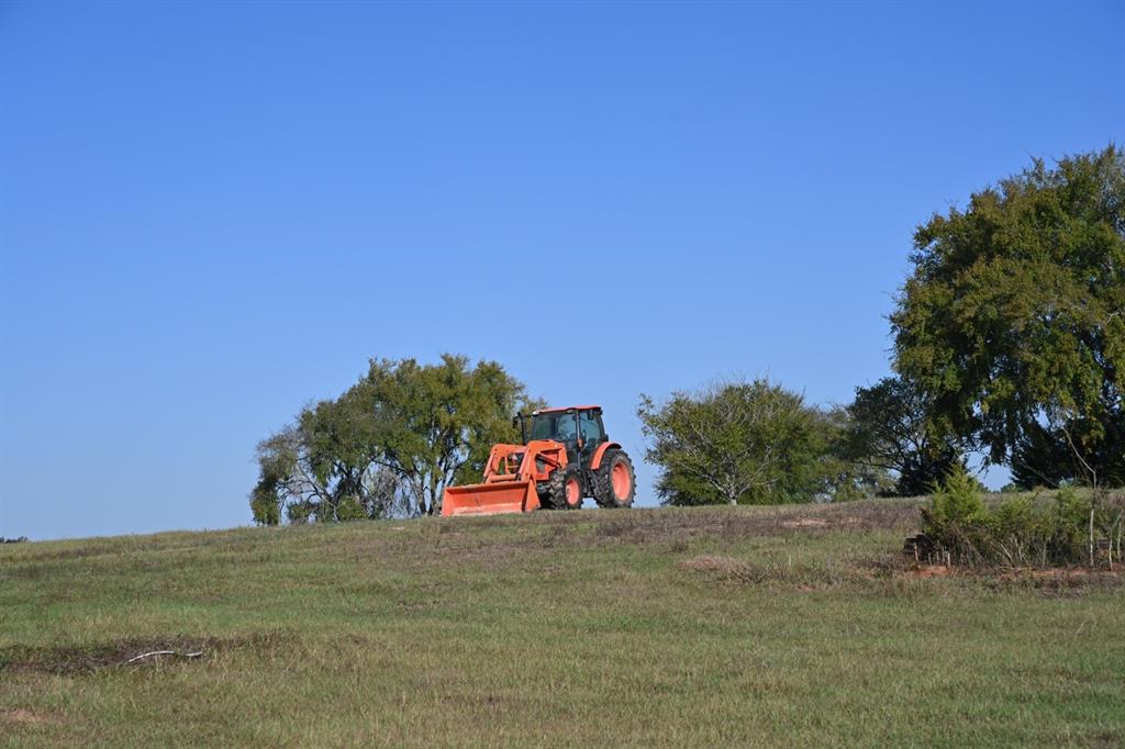TBD County Road 483 - Photo 21