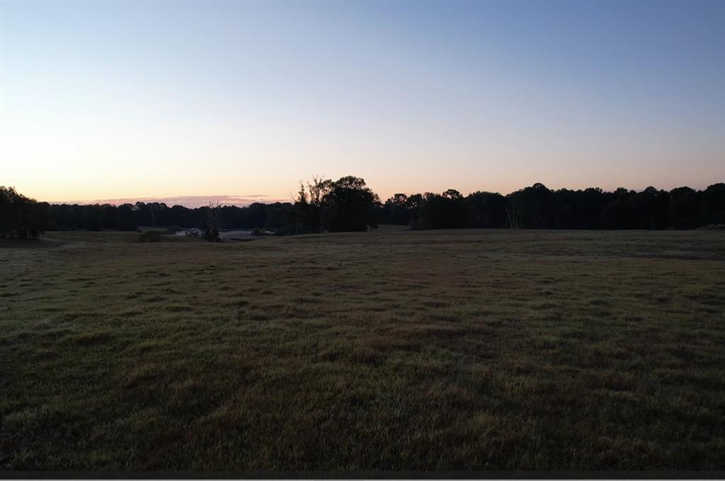 TBD County Road 483 - Photo 22