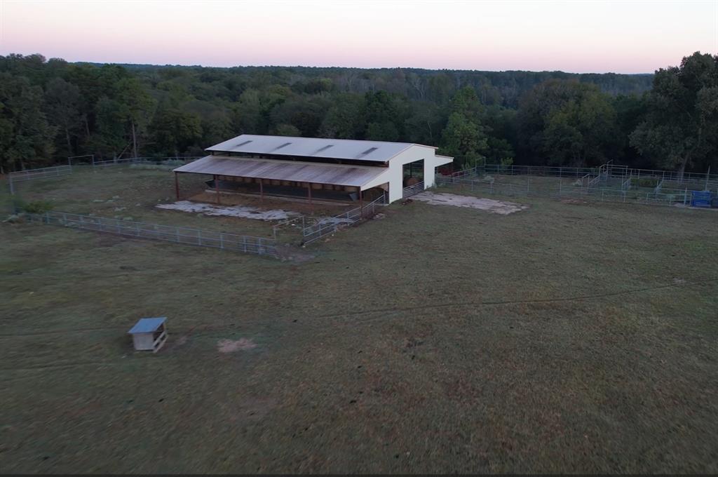 TBD County Road 483 - Photo 24