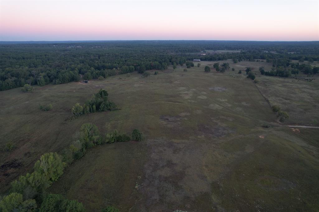 TBD County Road 483 - Photo 6