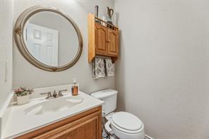 1817 Lake Whitney Lane - Photo 16