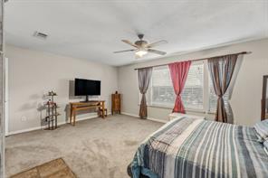 1817 Lake Whitney Lane - Photo 19