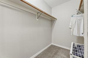 1817 Lake Whitney Lane - Photo 25