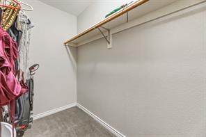 1817 Lake Whitney Lane - Photo 26