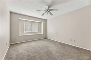 1817 Lake Whitney Lane - Photo 29