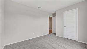 4172 SUNNY BRANCH Lane - Photo 15