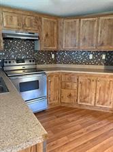 203 S Mountain Ridge - Photo 3