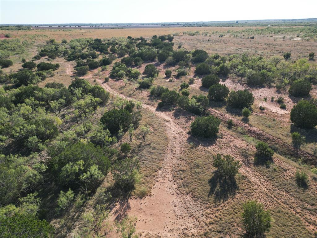 TBD TR 1 County Road 196 - Photo 1