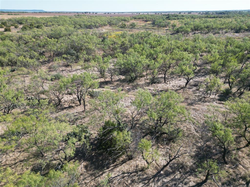 TBD TR2 County Rd 196 - Photo 1