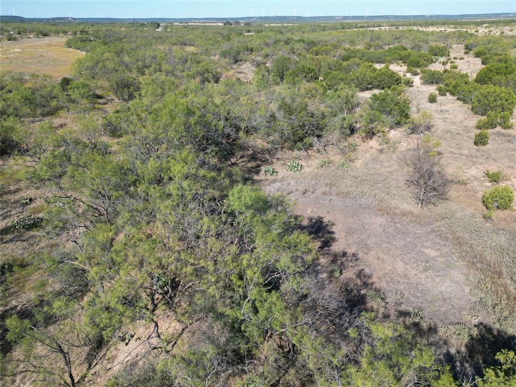 TBD TR2 County Rd 196 - Photo 3