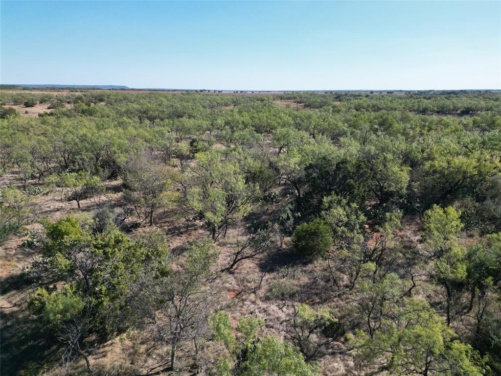 TBD TR2 County Rd 196 - Photo 7