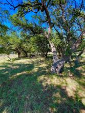 7276 Feather Bay Boulevard - Photo 4