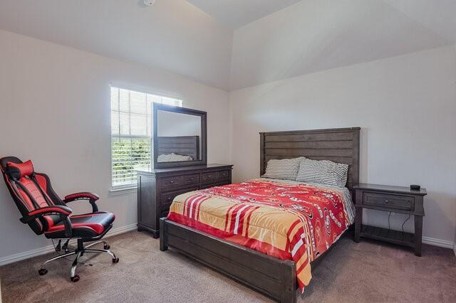 909 Heath Creek Drive - Photo 30