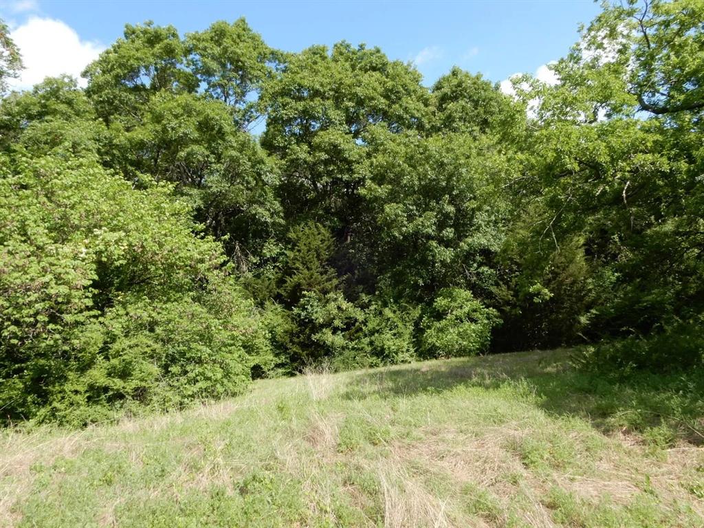 1415 Day Boulevard - Photo 1
