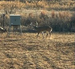 TBD County Road 124 - Photo 3