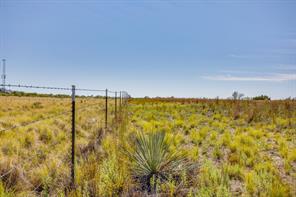 TBD County Road 124 - Photo 35