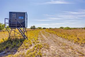 TBD County Road 124 - Photo 37