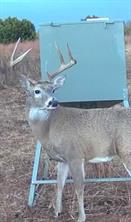 TBD County Road 124 - Photo 4