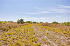 TBD County Road 124 - Photo 40