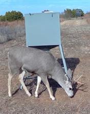 TBD County Road 124 - Photo 5