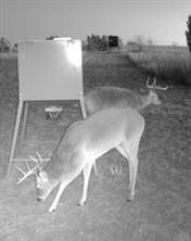 TBD County Road 124 - Photo 6